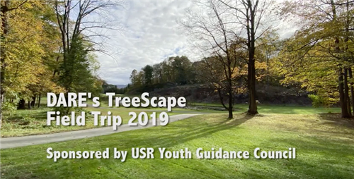 TreeScape 